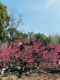 逛逛古林公園