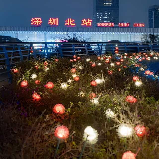 來過這裡以後才明白深圳的公園有多捲