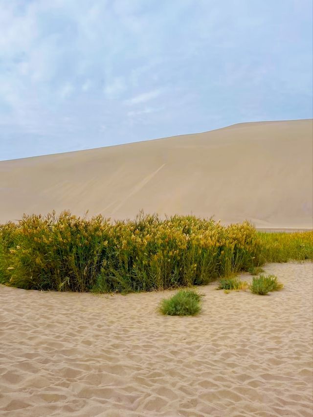 敦煌 鳴沙山