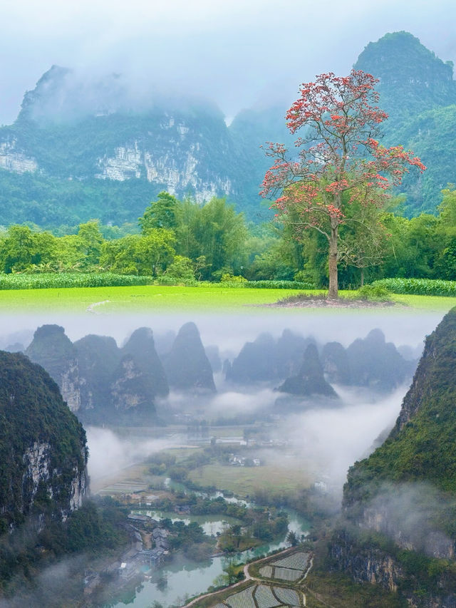 崇左明仕田園 | 被嚴重低估的小眾旅行地