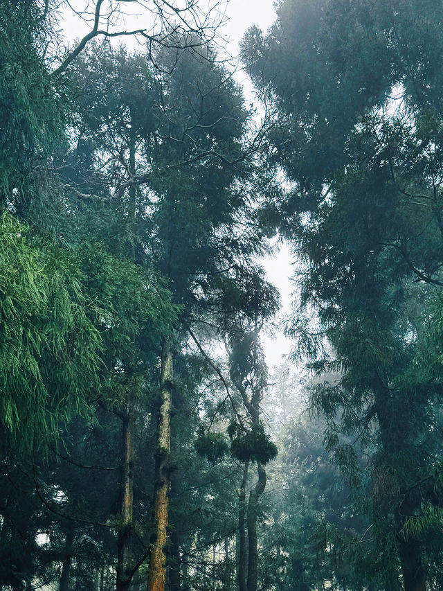 長沙出發2小時，去見山見水見自己