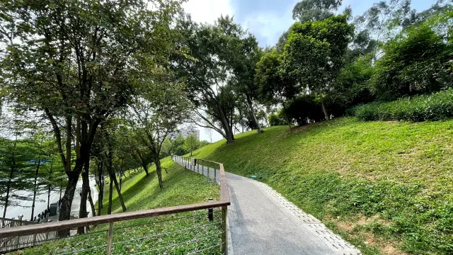 好想在麓湖公園的綠草坪上躺平