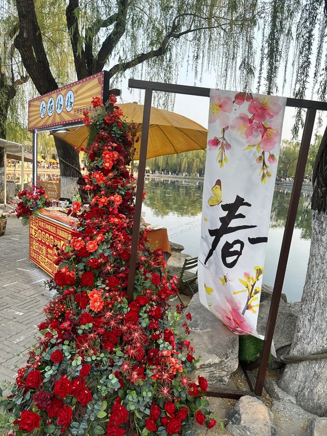 城市中的桃花仙境‖济南百花洲