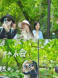 一定不能錯過重慶輕軌直達，夏季清涼徒步