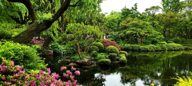 In the rain, Qiuxia Garden is brimming with lush greenery