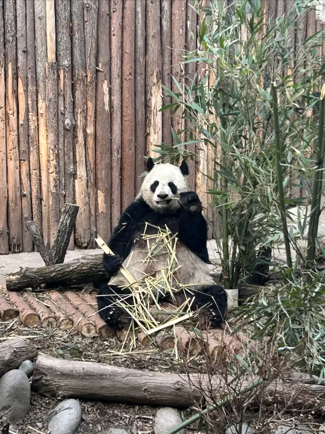 成都親測，都是乾貨！