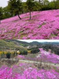 在大連，有一處宛如仙境的地方——英歌石植物園