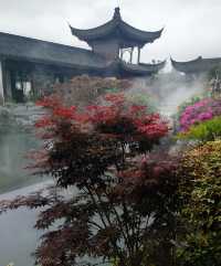 上海老姐姐的拍照聖地——申園