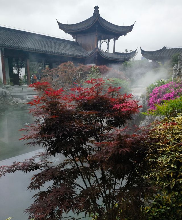 上海老姐姐的拍照聖地——申園