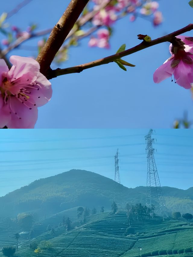 千島湖的山水奇遇