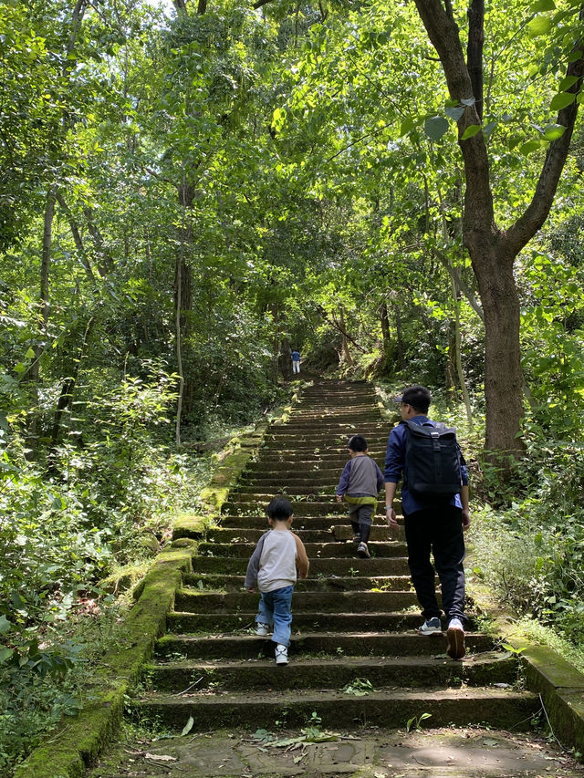 成都1h，穿越森林之門感受春和景明