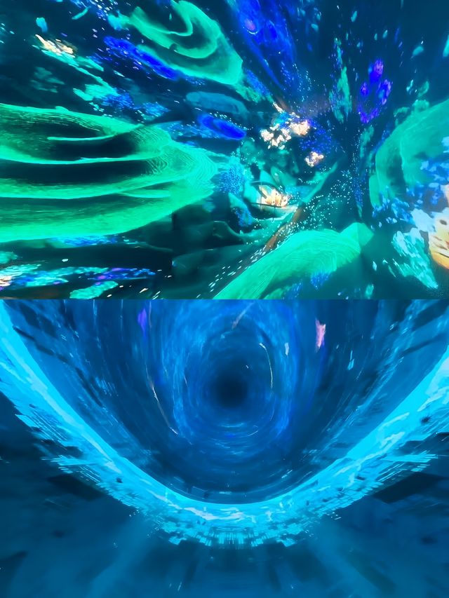 魔都遊玩/超級時空魔方/一秒穿越回侏羅紀