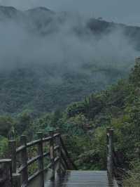 雨天的蒼南碗窯古村 仿佛回到了明清朝代