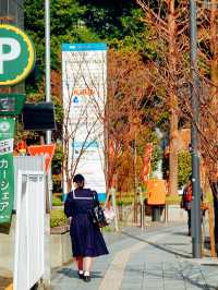 【熊本春天好去處】城市漫步品味文學氛圍自在郊遊必備之地