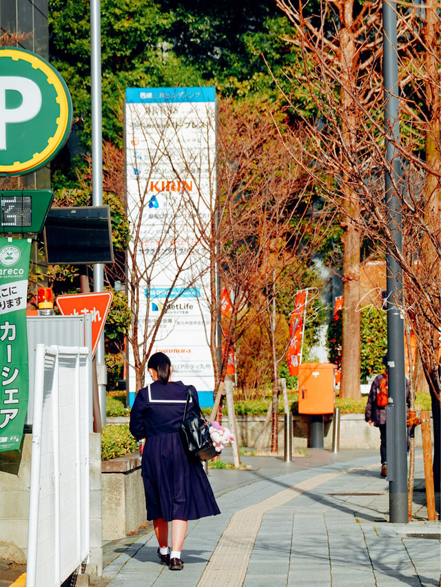 【熊本春天好去處】城市漫步品味文學氛圍自在郊遊必備之地