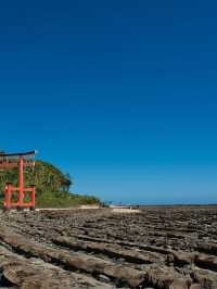 🌊 Miyazaki's Oceanfront Oasis: Stay in Style! 🏝️