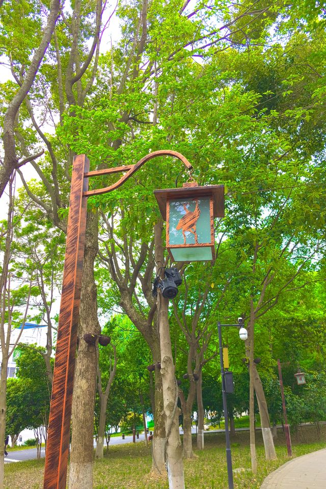 武漢小眾寶藏地探秘——龍華寺