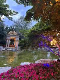 莫奈花園，拍照聖地！！