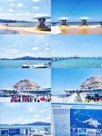 研學旅行——山海海洋之星