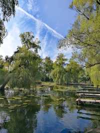 湖心島公園：這絕美的城市天際線，比紐約曼哈頓也不遑多讓