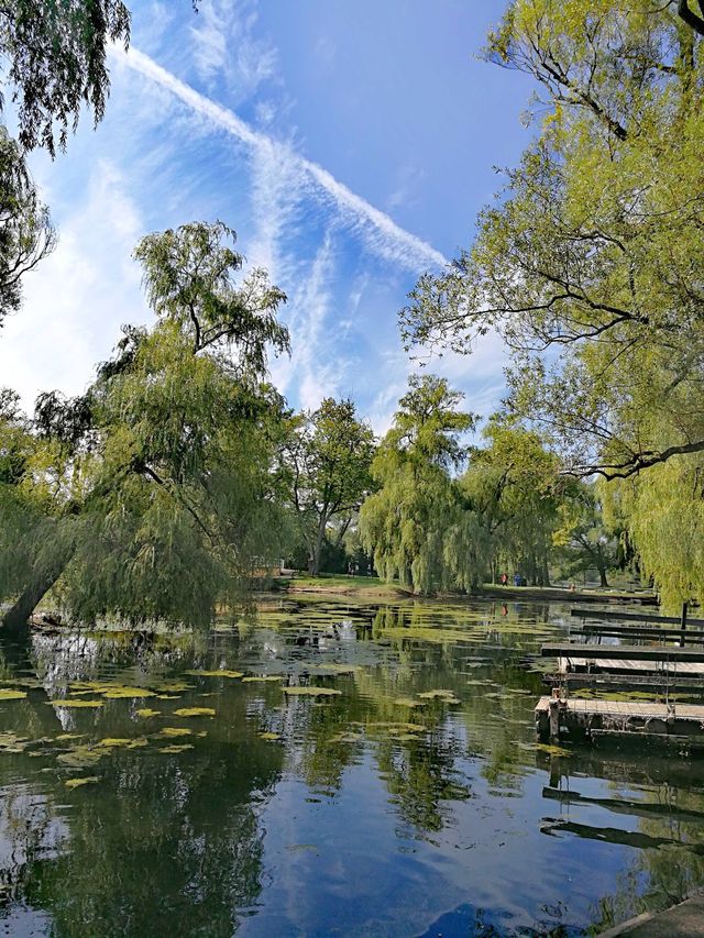 湖心島公園：這絕美的城市天際線，比紐約曼哈頓也不遑多讓