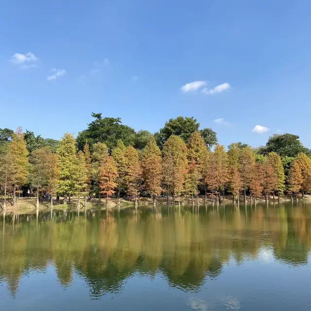 漫步最大南亞植物園 享受大自然吸氧體驗