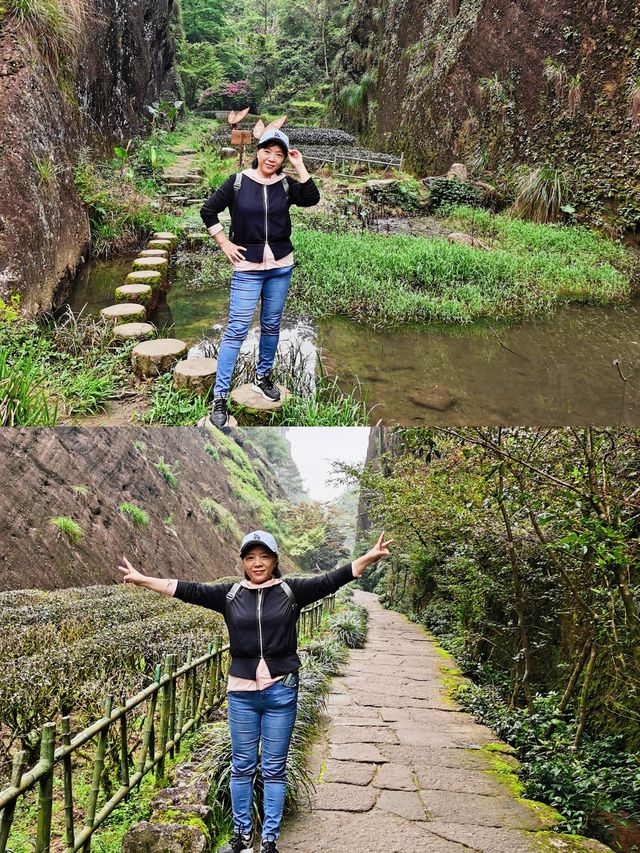 岩石清澈，樹木翠綠，茶香四溢，武夷山國家公園的真實體驗