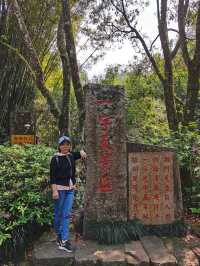 岩石清澈，樹木翠綠，茶香四溢，武夷山國家公園的真實體驗