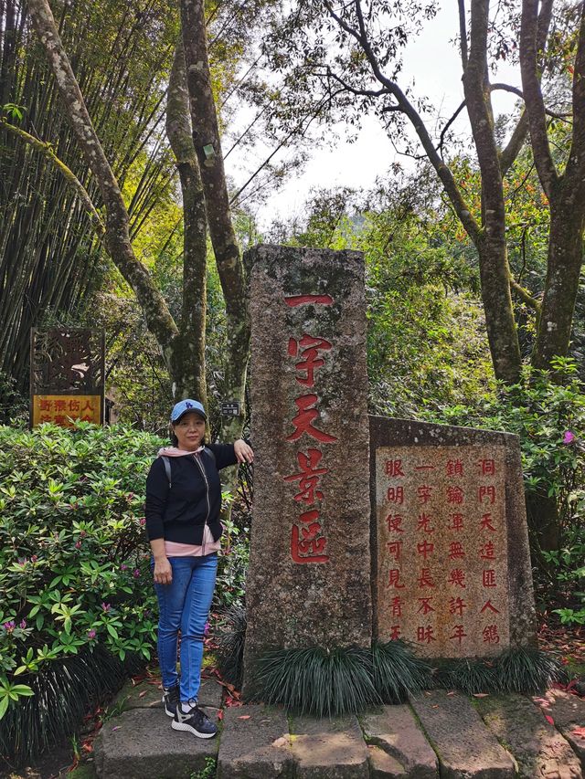 岩石清澈，樹木翠綠，茶香四溢，武夷山國家公園的真實體驗