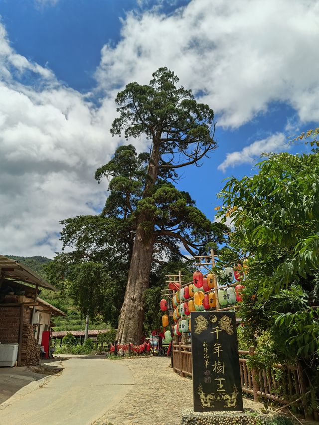 大田-東坂畲族村