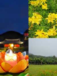 來普陀山玩吧，看看佛山水