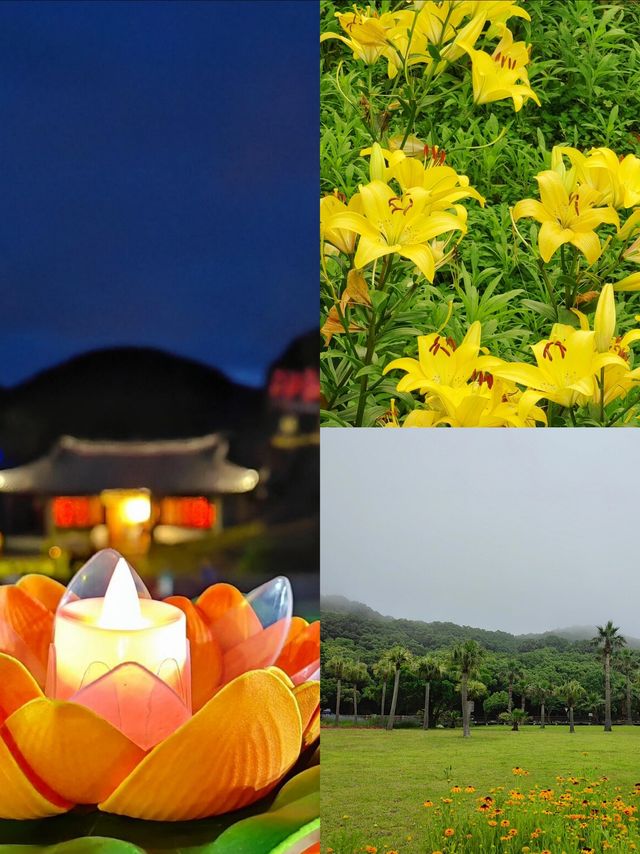 來普陀山玩吧，看看佛山水