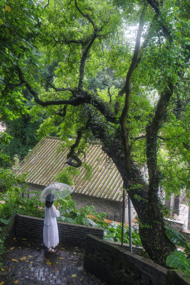 廣州周邊遊雨天來三水別具一番景象很美