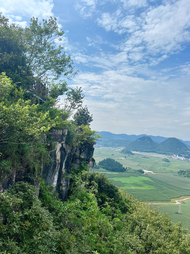羅平金雞峰叢