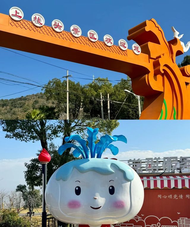台州玉環|在海邊遇見摩天輪上過央視的玉環上棧頭