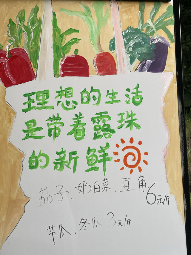 博羅蘭門村的景色真是無敵了！