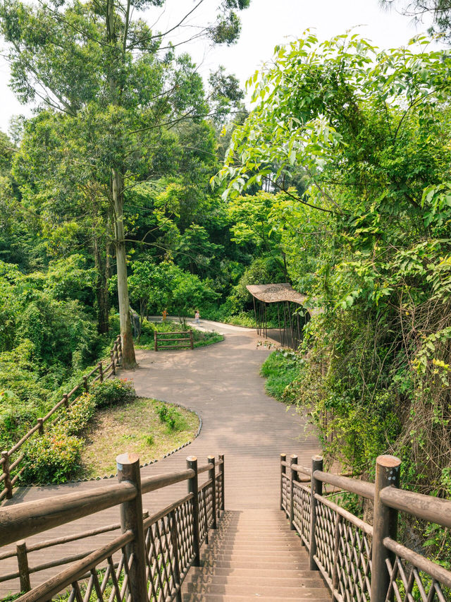 比起青城山，我更愛成都這個小眾徒步地