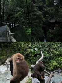 9月峨眉山2天1夜懶人遊攻略