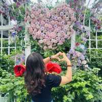 Dutch Flower Town in Shenzhen 💚 Ideal for plant lovers 🪴 