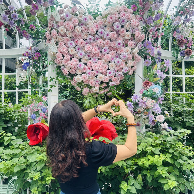 Dutch Flower Town in Shenzhen 💚 Ideal for plant lovers 🪴 