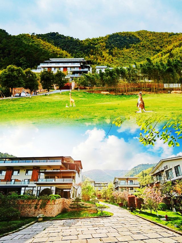 美上熱搜來莫干山赴一場田園詩般的旅行！
