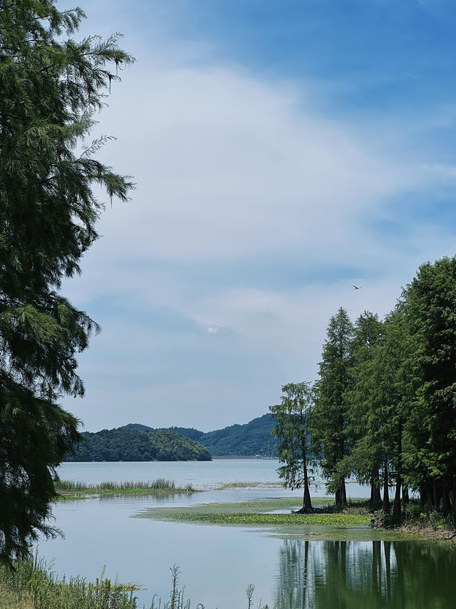 江浙沃周邊遊，溯溪玩水值得一去的避暑古村。