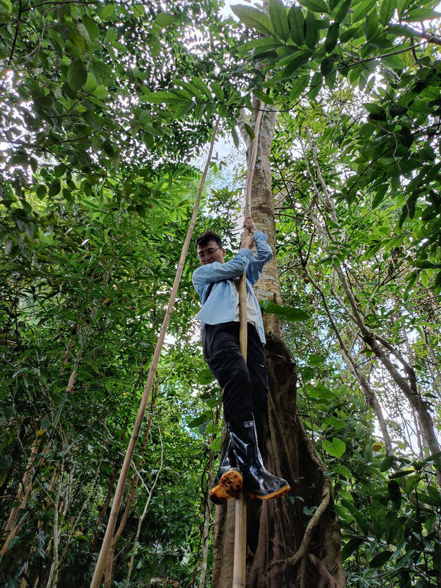 國慶基諾山雨林徒步探險之旅