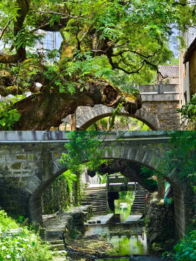 An underestimated treasure travel destination - Longgong Village.