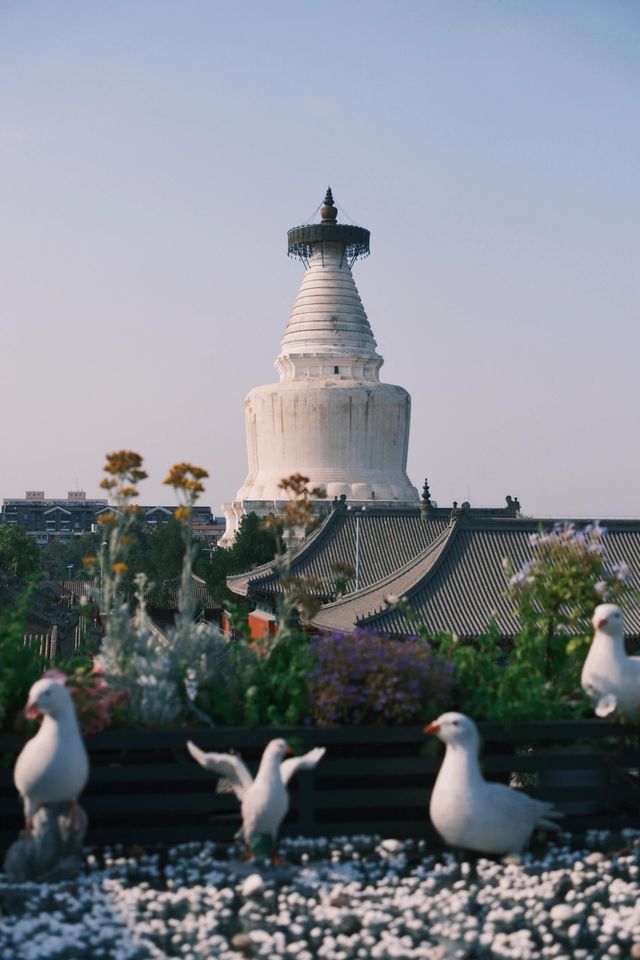 北京東交民巷｜邂逅歷史韻味，感悟歲月風華！。