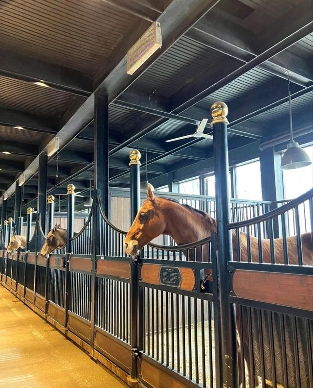 烏市必玩：野馬生態園。