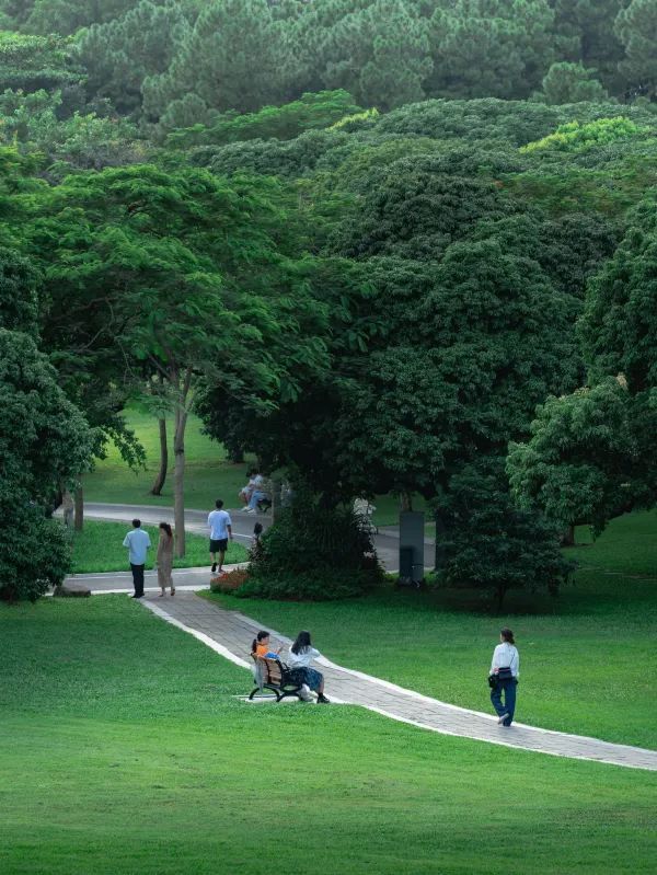 深圳地鐵站直達的寶藏打卡地❗