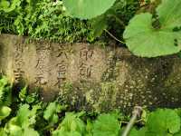北宋華林書院——湮沒在荒蕪中的歷史。