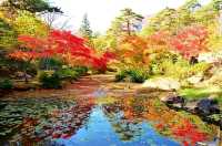 日本新潟彌彦公園：秋日紅葉的夢幻詩篇||日本新潟的彌彦公園，以其秋季的紅葉谷而聞名，當秋風輕拂過。