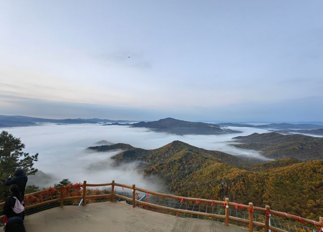 黑龍江伊春錯峰之旅。